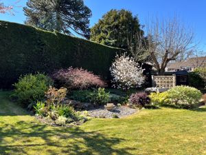 Garden- click for photo gallery